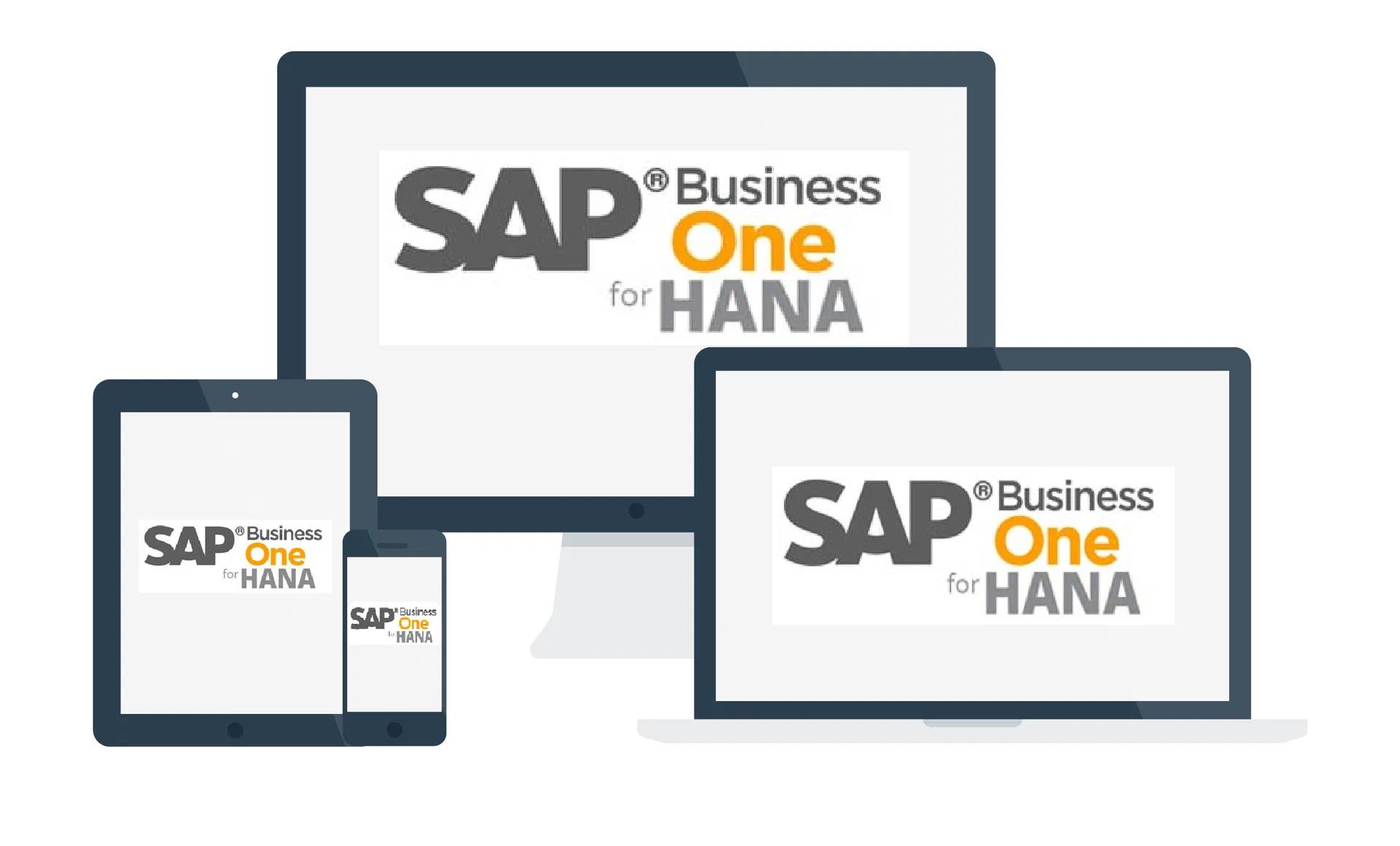 SAP Business One 9.3 per HANA: il software gestionale del futuro