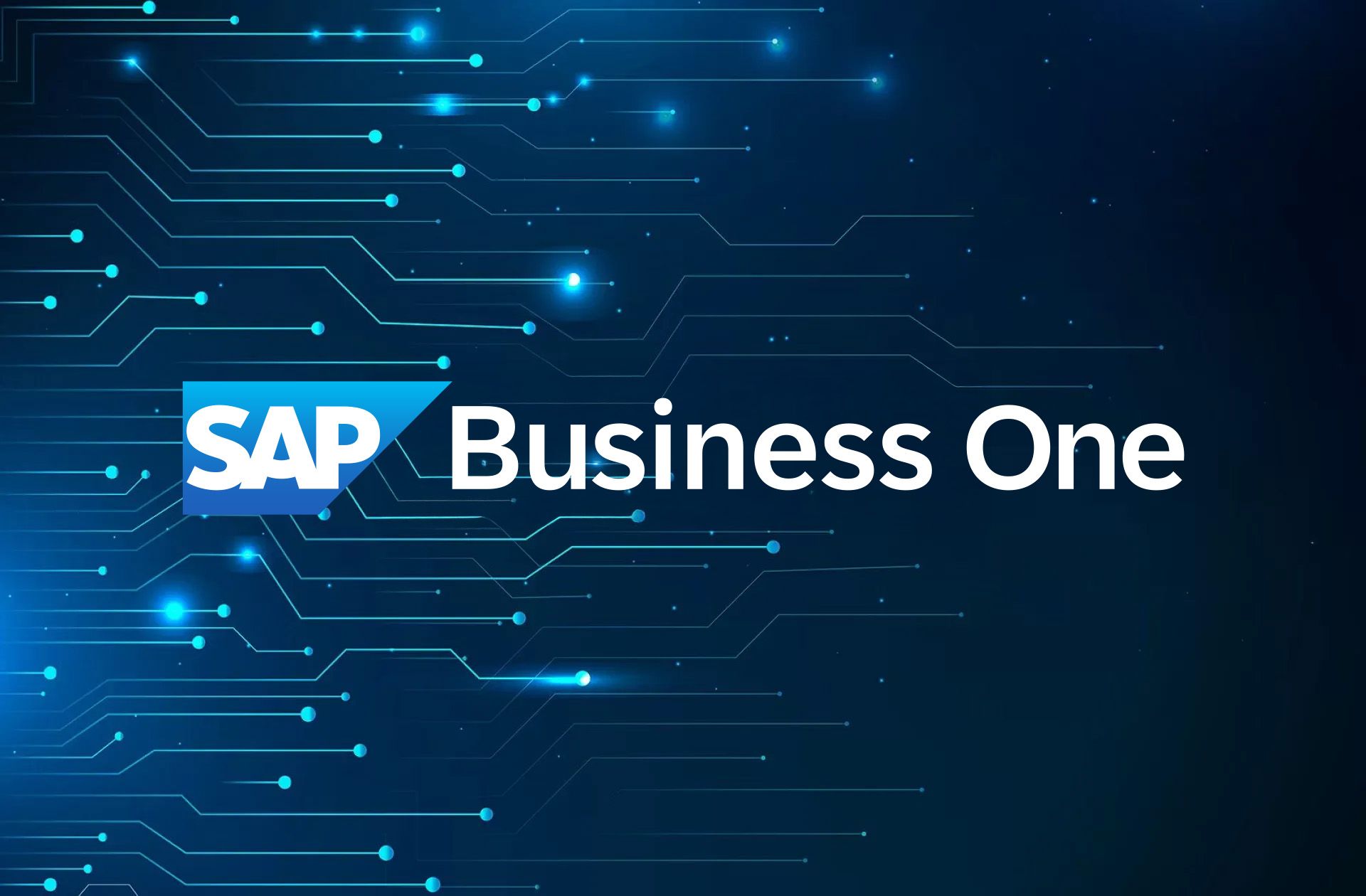 Video esplicativo delle principali funzioni di SAP Business One